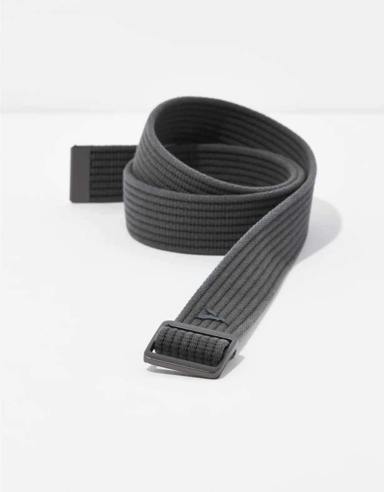 AEO Ribbed Web Belt