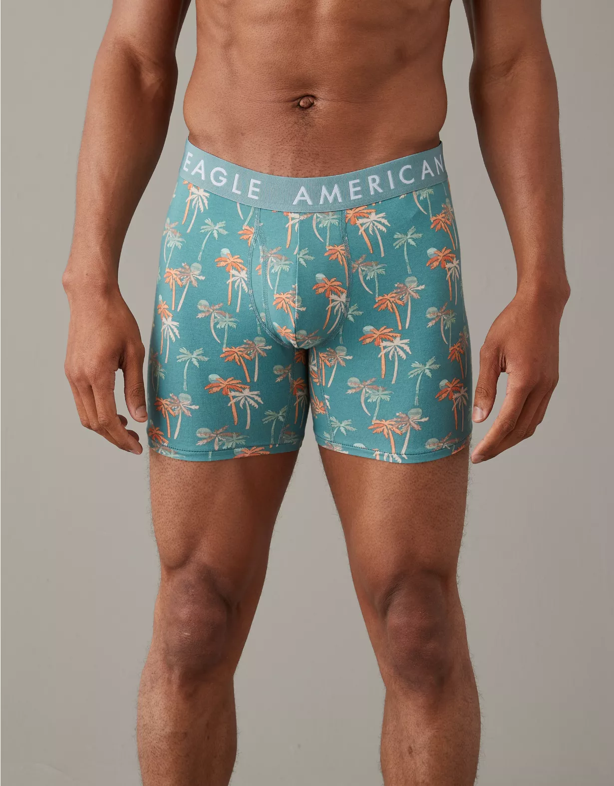 AEO Palms 6" Classic Boxer Brief