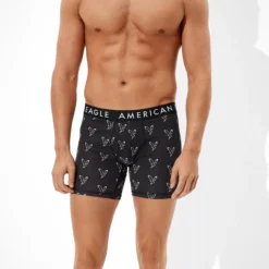 AEO Eagle 6" Classic Boxer Brief