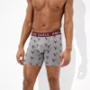 AEO Eagles 6" Classic Boxer Brief