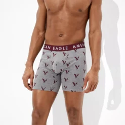 AEO Eagles 6" Classic Boxer Brief
