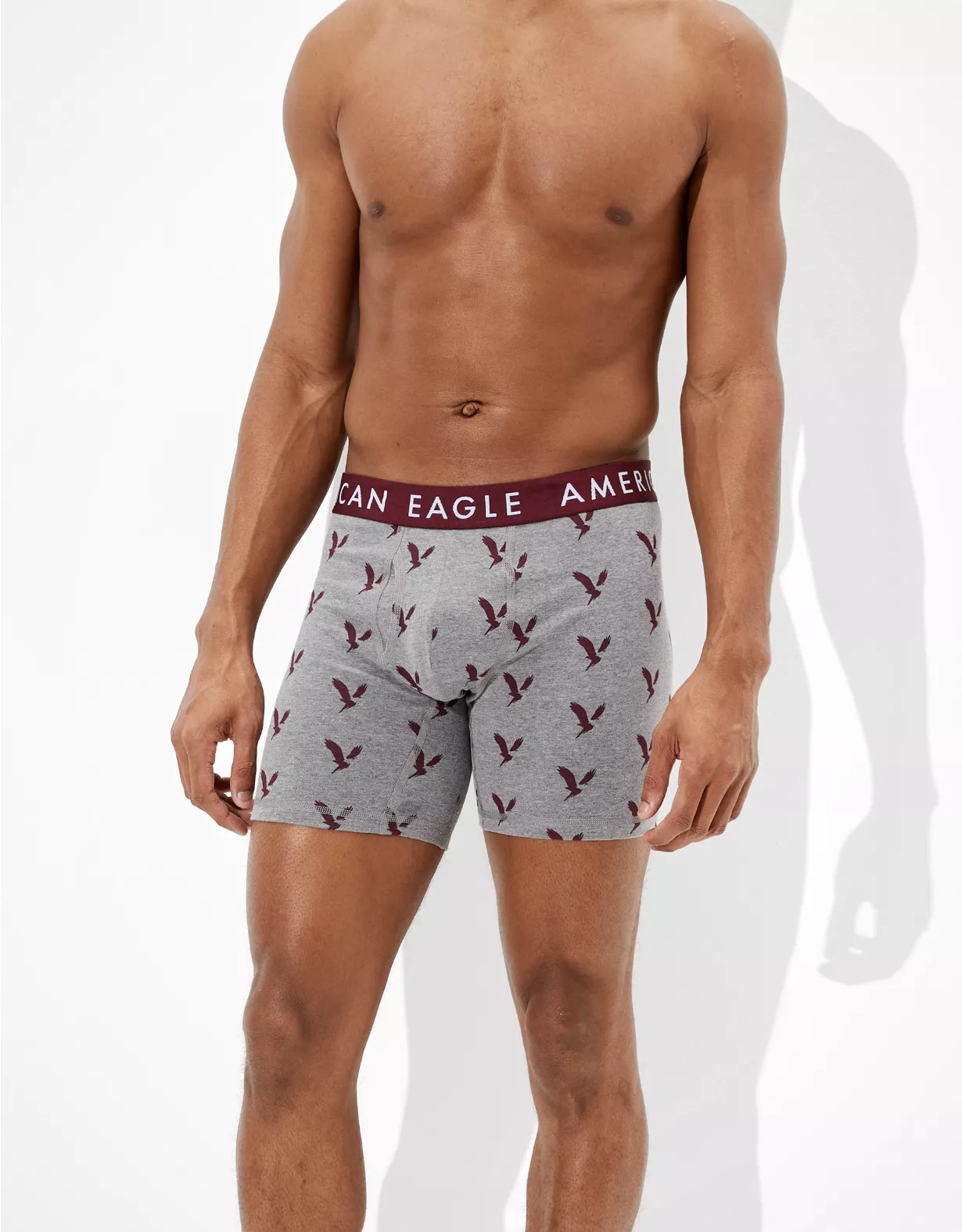 AEO Eagles 6" Classic Boxer Brief
