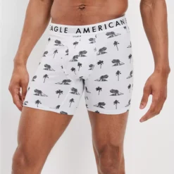 AEO Volcano Isle 6" Classic Boxer Brief