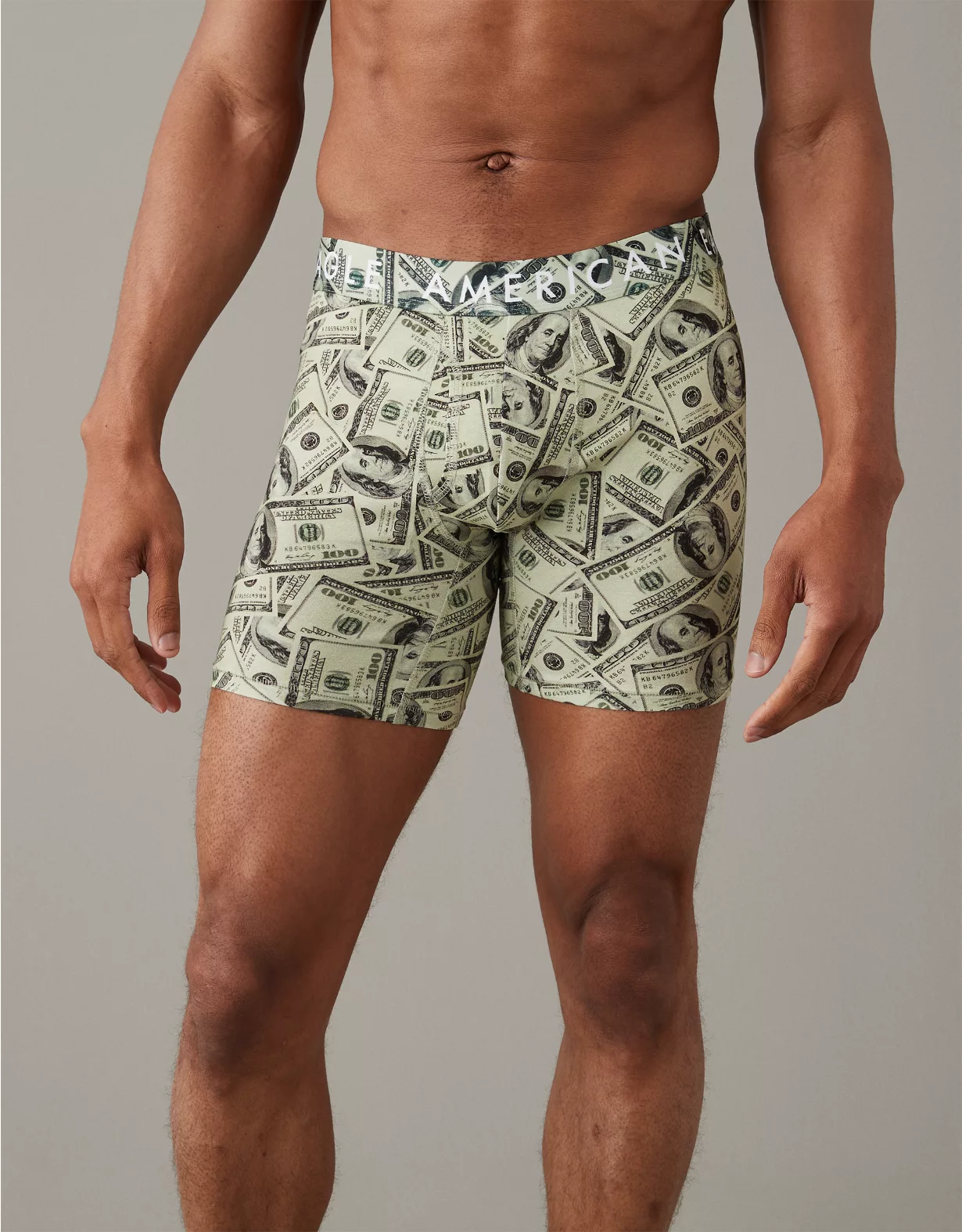 AEO Dollars 6" Classic Boxer Brief