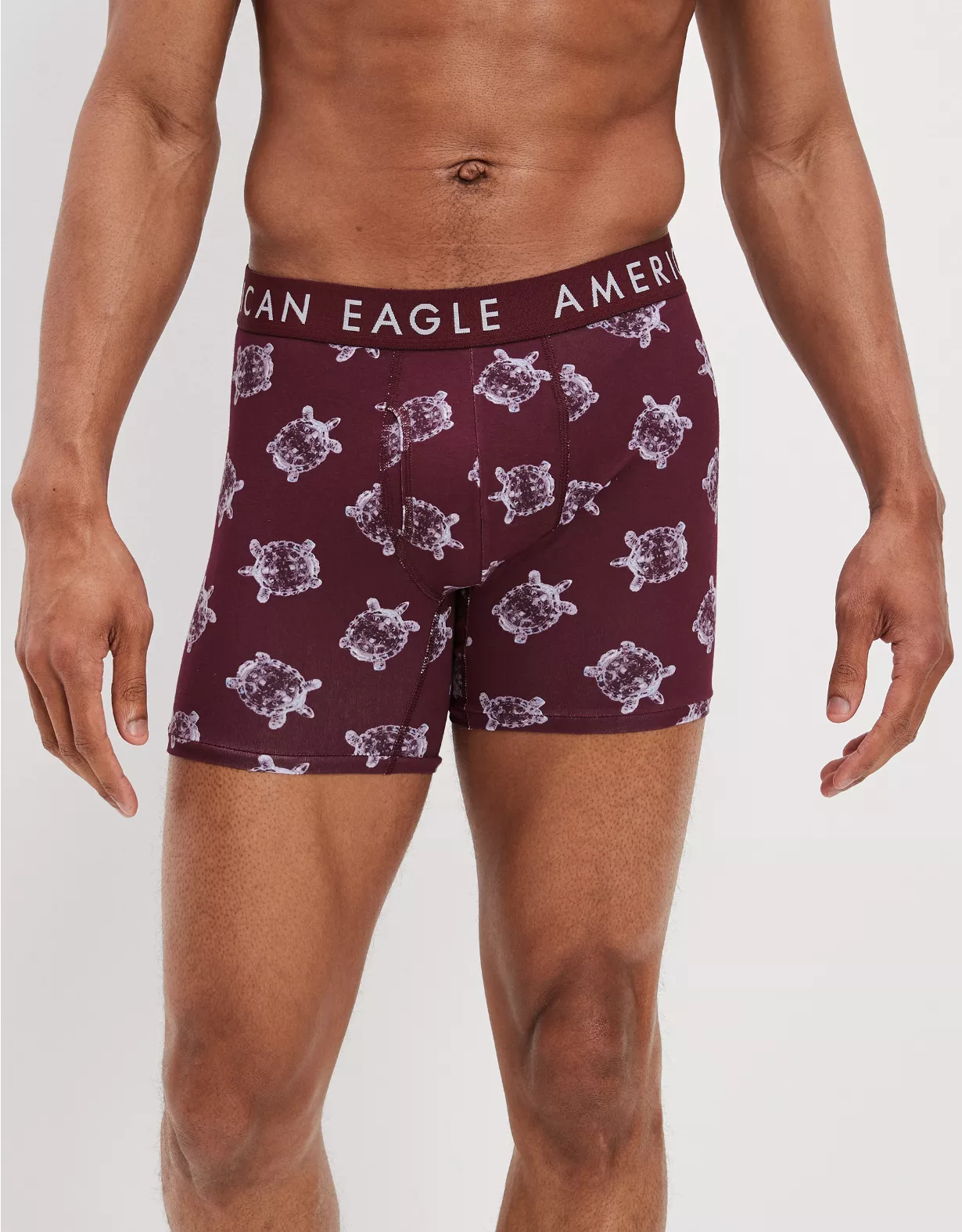 AEO Glass Turtles 6" Classic Boxer Brief