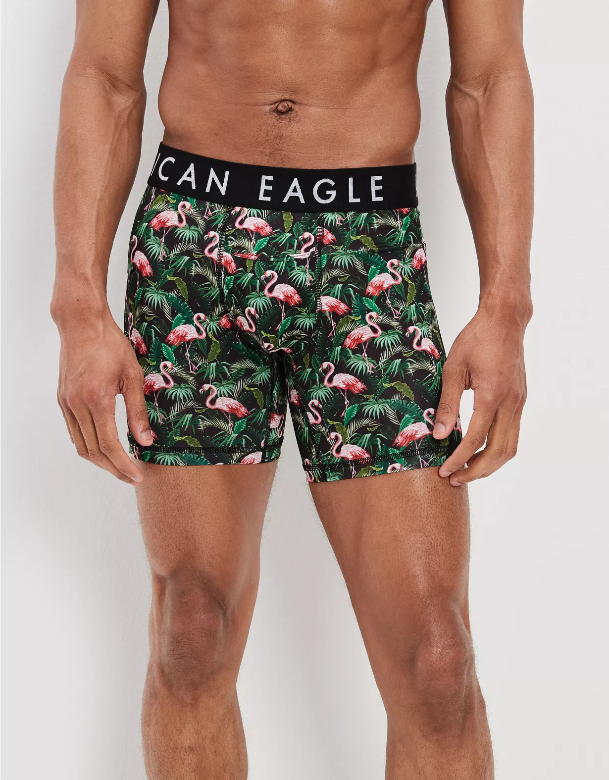 AEO Tropical Flamingos 6" Horizontal Fly Flex Boxer Brief