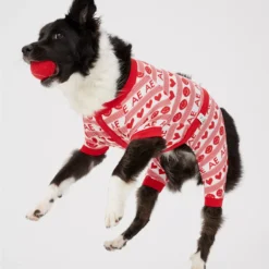 ABO Smiley Dog Pajamas