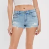 AE Ne(x)t Level Low-Rise Denim Short Short