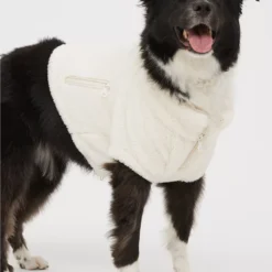 OFFLEASH By Aerie Pet Sherpa Quarter ZIp